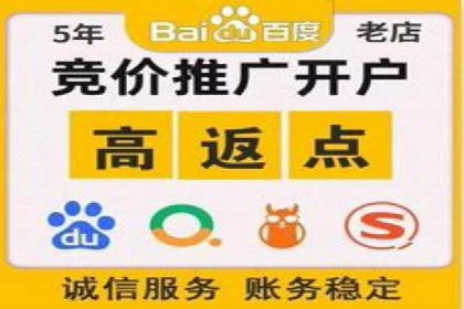百度推广费用策略在竞争激烈市场的应用案例